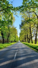 Obraz premium a scenic park, verdant green grass and towering trees frame a clear blue sky, while an asphalt road stretches into the distance, presenting a tranquil nature landscape perfect.