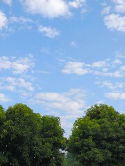 white clouds in a bright blue sky with green trees below