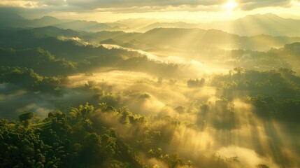 Naklejka premium Fog and sunlight united to create a picturesque landscape