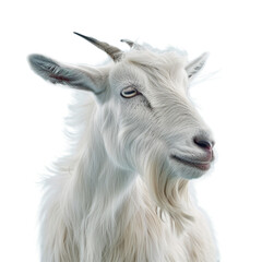 A goat isolated on transparent background, Ai Generative
