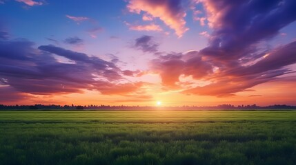 Obraz premium Sunset over a grassy field. Generative AI.