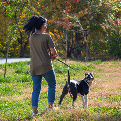 Woman sitting with American Staffordshire terrier on the meadow.