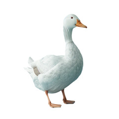 Fototapeta premium A white duck isolated on transparent background, Ai Generative