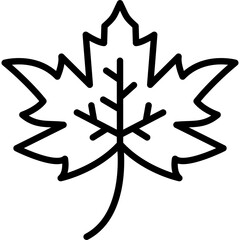 Leaf Icon