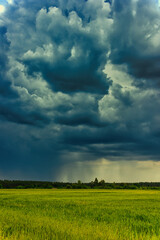 Rozległa równina pokryta młodym, zielonym zbożem. Niebo jest pokryte ciemnymi, skłębionymi chmurami, przez które miejscami przenika światło słoneczne. © boguslavus