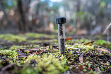 university student conducting research on forest health. farmer collecting soil samples in a test tube in a field. Agronomist checking soil carbon and plant health on a farm in australia