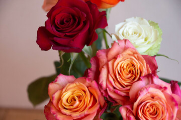 色とりどりのバラ