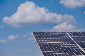 Naklejka premium Panele fotowoltaiczne zamontowane w polu