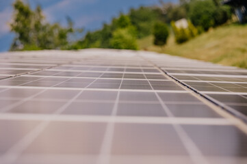 Panele fotowoltaiczne zamontowane w polu