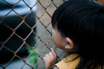 Little Boy And Steel Wire Mesh Fence
