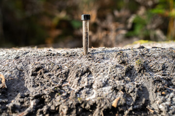 university student conducting research on forest health. farmer collecting soil samples in a test tube in a field. Agronomist checking soil carbon and plant health on a farm in australia