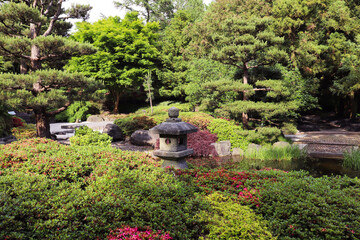 summer landscape. corner of the Japanese garden in the summer park