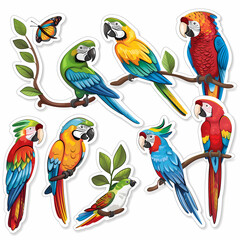 a Set Cute parrot on a White Canvas Sticker,vector image