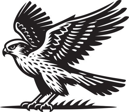 recommend clip art: harrier eagle vector Art Illustration