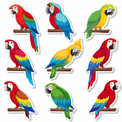 a Set Cute parrot on a White Canvas Sticker,vector image