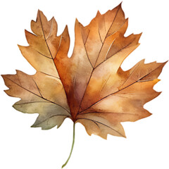 Obraz premium Hand drawn autumm forest leaves elements and decoration, watercolor style.