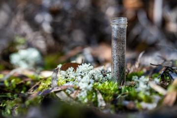 university student conducting research on forest health. farmer collecting soil samples in a test tube in a field. Agronomist checking soil carbon and plant health on a farm in australia