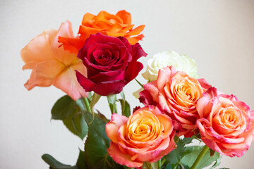 色とりどりのバラ