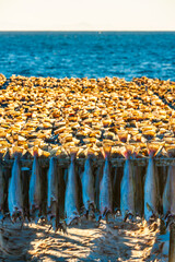 Traditional Fish Drying Racks in Lofoten, Norway During a Sunny Day in Winter