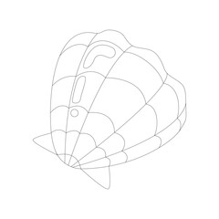 Seashell linear icon vector illustration on white background.
