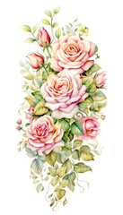 Fototapeta premium Beautiful watercolor illustration of blooming pink roses with green leaves on a white background.