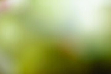 green bokeh background