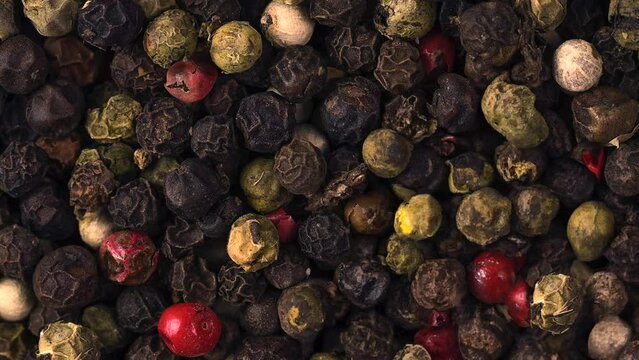 Pepper mix of red, black, white and green peppercorns, rotation in circle. Mixed hot red Pepper, Turning. peppercorns. View from directly above.