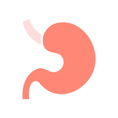 Stomach set icon. Digestive system, organ, gastric, anatomy, digestion, medical, human body, health, stomach function.