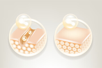 Probiotic and Hyaluronic acid and Niacinamide before and after hair and skin solutions ad, white collagen serum drops into skin cell with cosmetic advertising background ready to use.