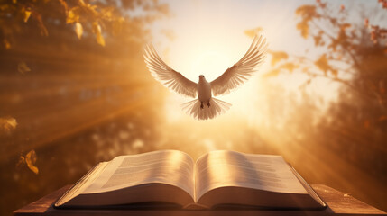 Through learning and faith, the holy book of the Bible illuminates the teachings of Jesus Christ...