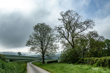 La route au petit matin