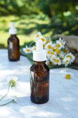 Essential oil in glass bottle with fresh chamomile flowers, beauty treatment. Spa concept. Selective focus. Fragrant oil of chamomile flowers. Side view.