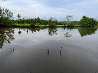 natural view of the lake with a background of rice fields at the foot of the mountain