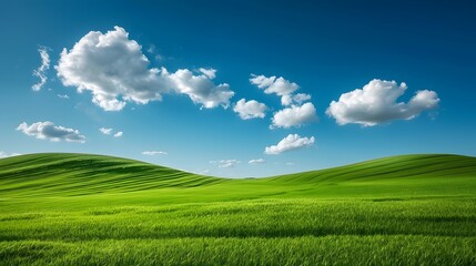 Fototapeta premium Serene landscape photography , Biotechnology farm , Agricultural biotechnology