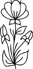 Line art hand drawn flower, decorative flower design
