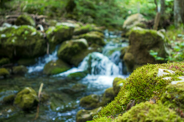 moss on a rock with the steam in the backgroud. focus on the moss. blurry background.