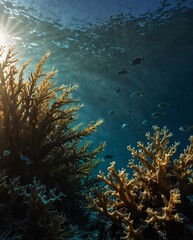 Obraz na płótnie Canvas Pristine underwater environment illuminated by gentle rays of sunlight.