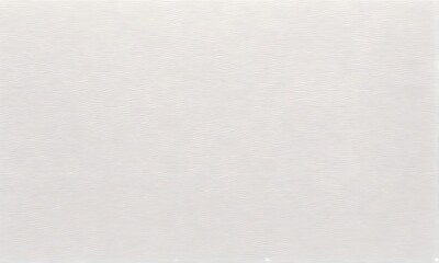 Obraz premium white brush stroke texture background