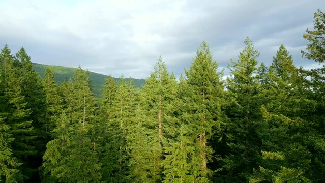 Aerial view of stunning mountain landscape. Taken near Vancouver
