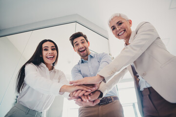 Fototapeta premium Photo of business people teambuilding connecting company members in workplace