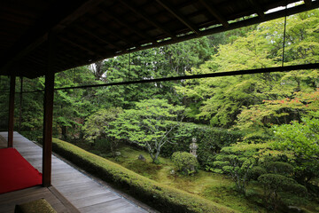 妙心寺塔頭桂春院の境内風景
