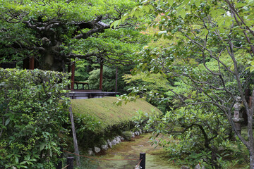 Obraz premium 妙心寺塔頭桂春院の境内風景