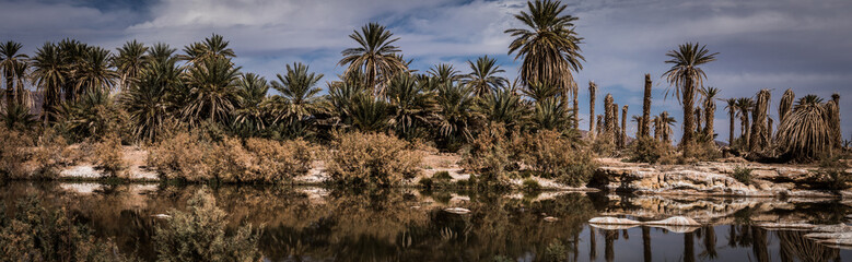 Flusslandschaft mit Palmen in Nordafrika, Marokko Panoramaaufnahme