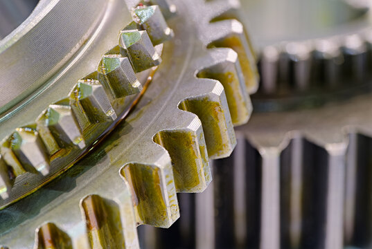 Group of pinions coated with lubricant