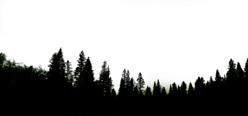 A nighttime silhouetted evergreen forest with green aurora along the horizon. The sky is transparent except where stars are shining.  
