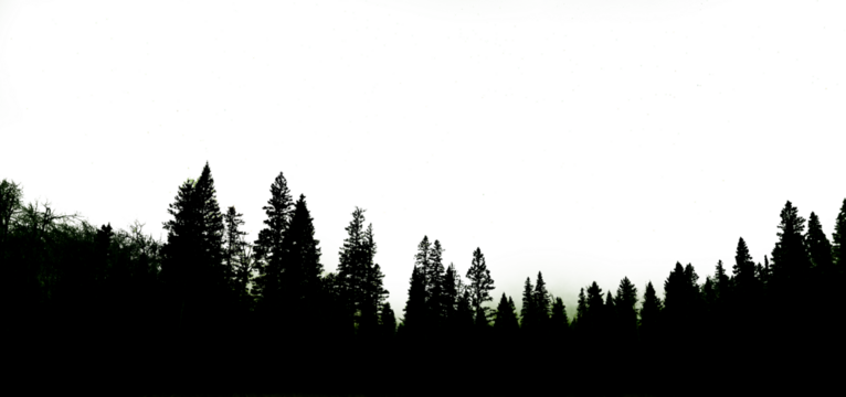 A nighttime silhouetted evergreen forest with green aurora along the horizon. The sky is transparent except where stars are shining.  
