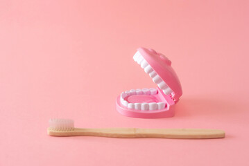 dental model toy with bamboo toothbrush on pink background with copy space for dental care and hygiene