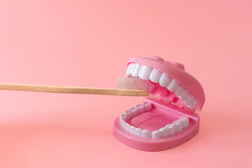 a bamboo toothbrush brushing teeth on a pink dental model toy on pink background, dental care and...