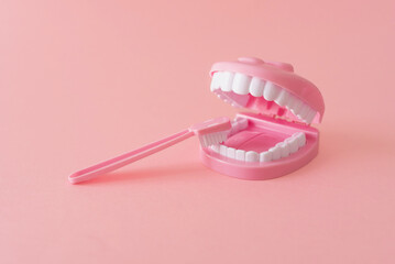 dental model toy with toothbrush on pink background with copy space for infant dental care and hygiene
