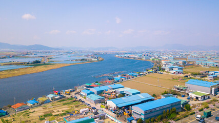 Aerial view of Cherry blossom in Busan, South Korea.